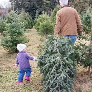 Meet your Posher, Charlene